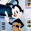 Yakko