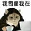 水相
