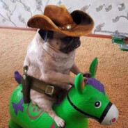 VAMOS DE CABALLITO!!!