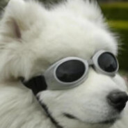 狂踹瘸子那条好腿