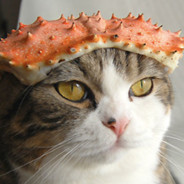 Crab Cat