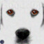 &gt;&gt;--Good-Dog--&gt;
