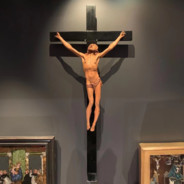 虎虎到底做错了什么