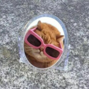 她不让我打游戏