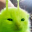 glorp