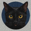♕✪۞BlackCat۞✪♕