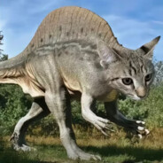 *****-allow-cheating