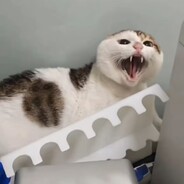 哈基米那没路多