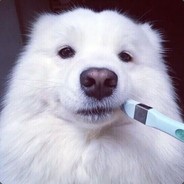 龍仔