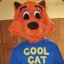 Cool Cat