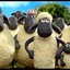 Shaun the sheep