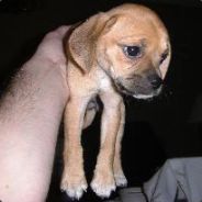 HighSpeedBail - steam id 76561197961884824