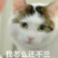 嘞果怕四右点儿痛喔