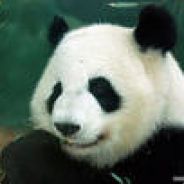 听说挂着也能涨经验