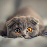 H-EZiiiiiiiiiiiiiiiiiiiiiiii