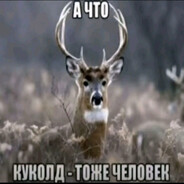 PRO | Stitytka