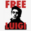 FREE LUIGI