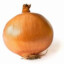 Onion_II