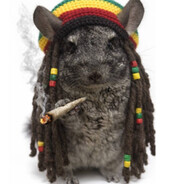 деко настоящий