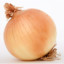 Bald Onion