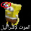 إسماعيلbob