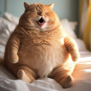 MrCat - steam id 76561197963864501