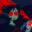 mc_cheshire