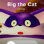 Big The Cat