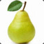 ContrivedPear64