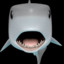 Shark pog