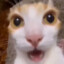 :O