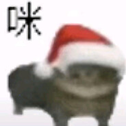 孤独的鱿鱼丝12138