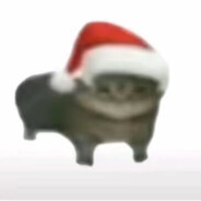 咸菜宝宝88888888888888