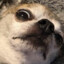 ☼GOOBMASTER☼