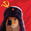 SOVIET DOG