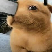 POCHITA