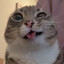 UWU Enjoyer