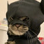 КОТИК 3