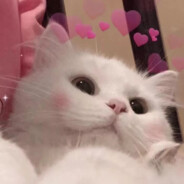 没头脑与不高兴