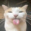 Avatar of ????????????????????????????????
