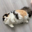 ШМЕЛЬ's avatar