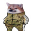 LeFrenchChad