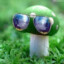 Awesome Mushroom Wearing Glasses