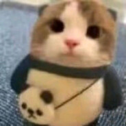 异眼丁真少年不会梦到悦客五代学姐