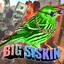 B.I.G. S.I.S.K.I.N