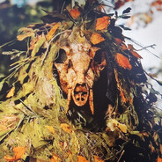 Player avatar