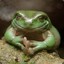 Overlord_Frog