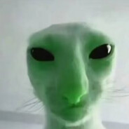 她说她学历全是水分