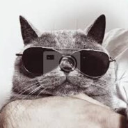 M i s i e k | SKINS.army