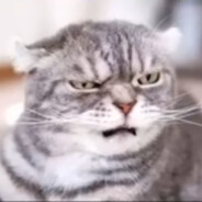 修完这个就回老家结婚